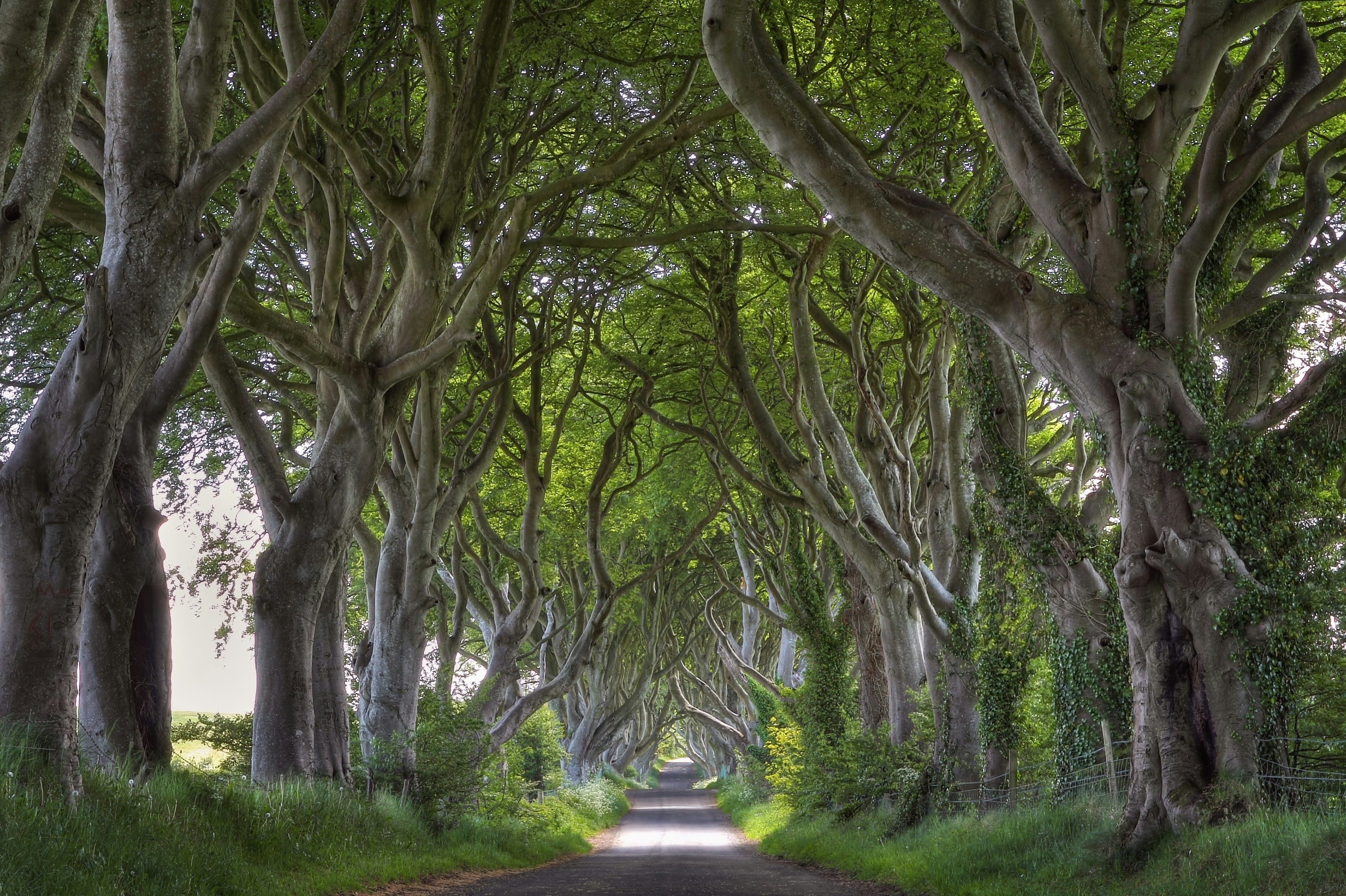 7 Instagram Accounts That Fill The Game Of Thrones Wanderlust