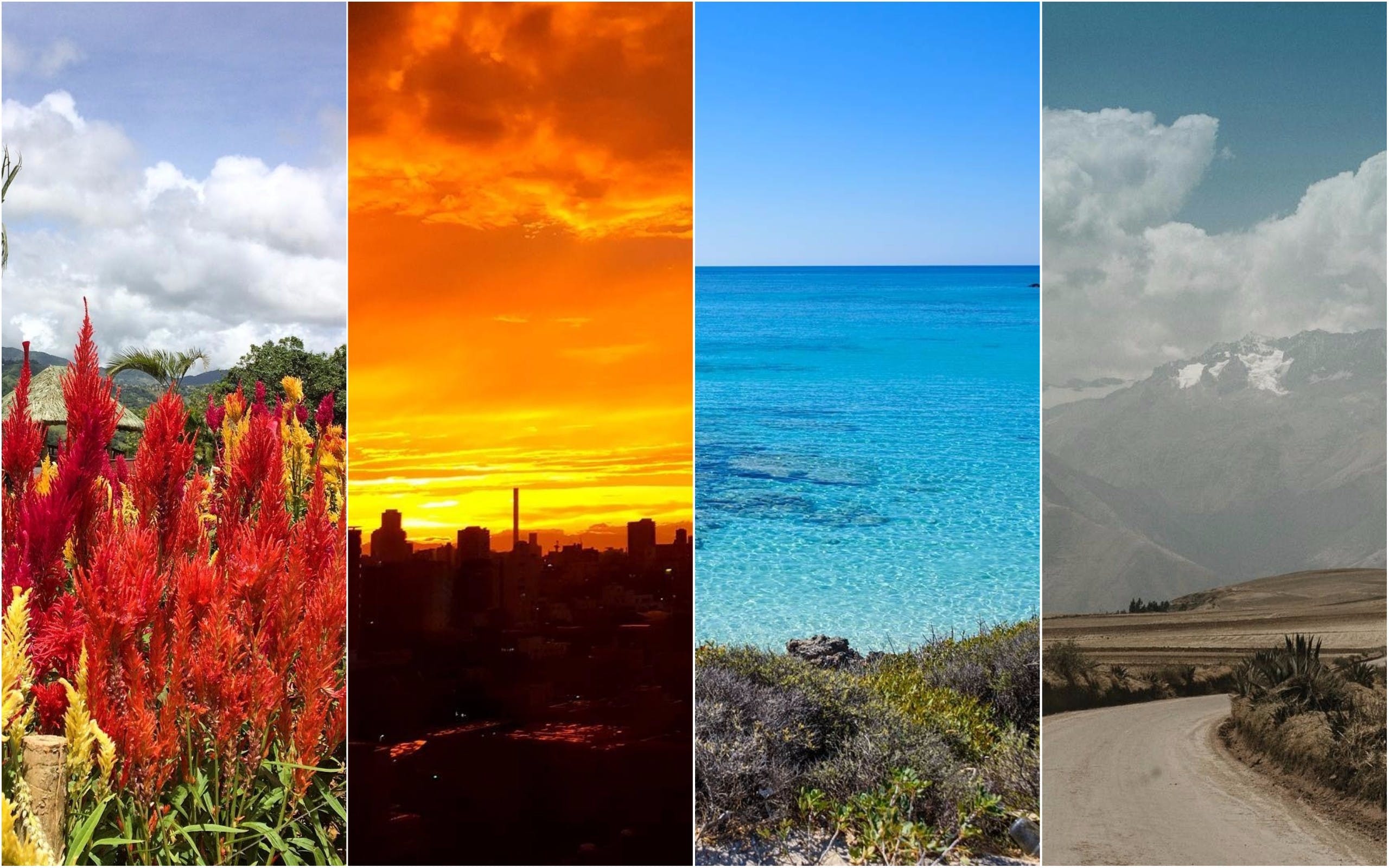 Highlights der Musement Community im September Musement