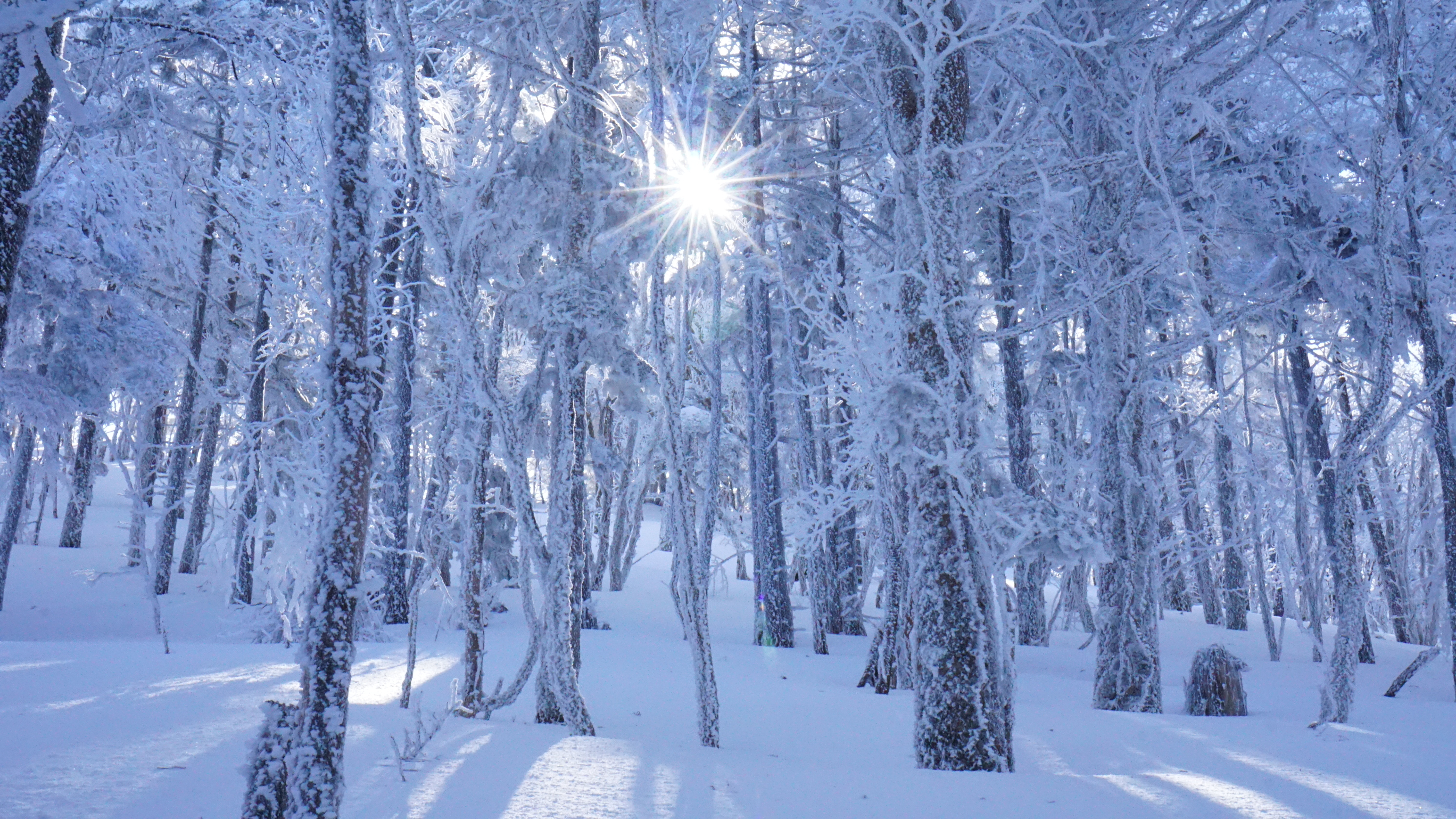 10 of the most charming Christmas towns in America