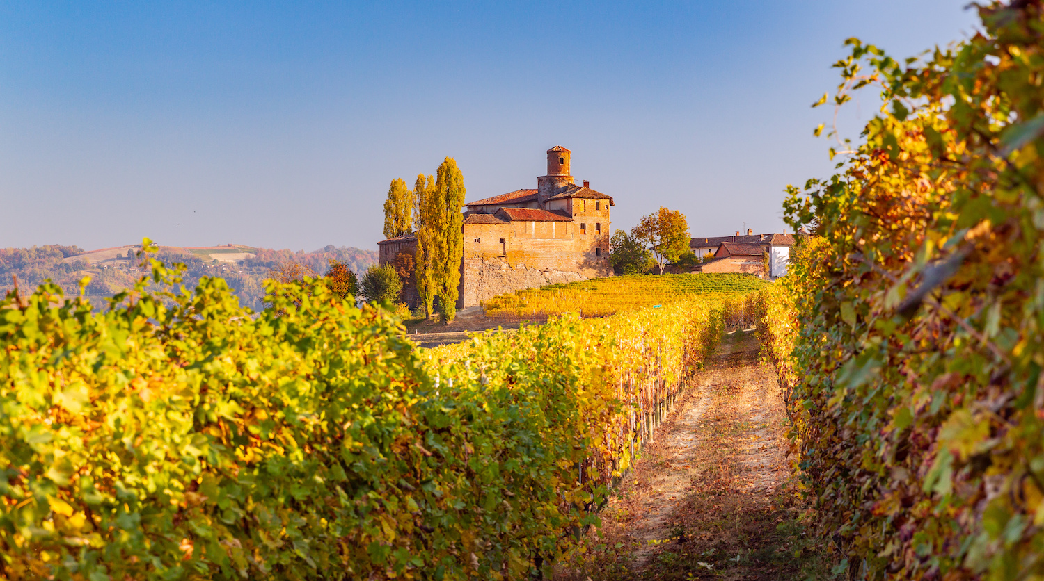 Visitare Il Piemonte: 5 Cose Da Fare E Da Vedere | Musement Blog