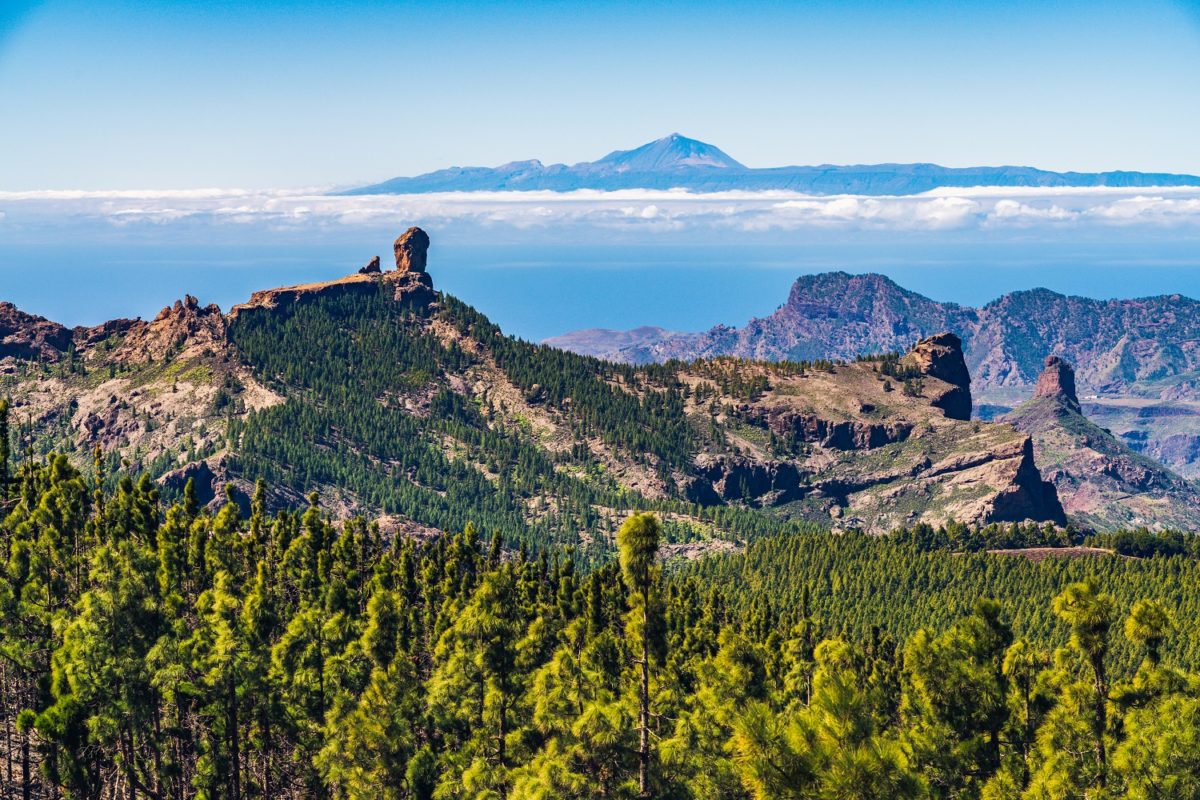 What to see and do in Tenerife