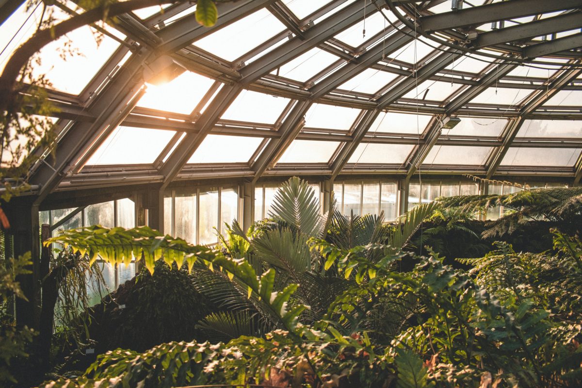 Gewächshaus im botanischen Garten