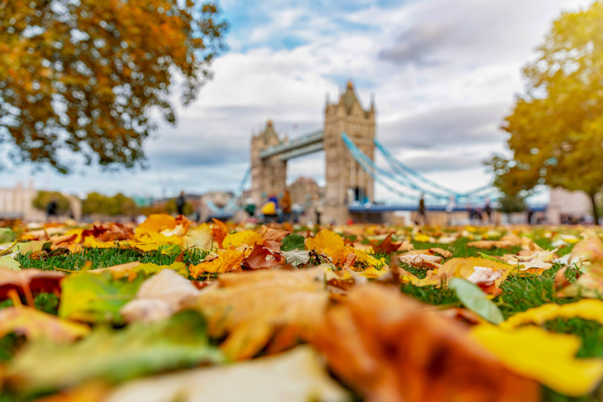 autumn colors in the UK