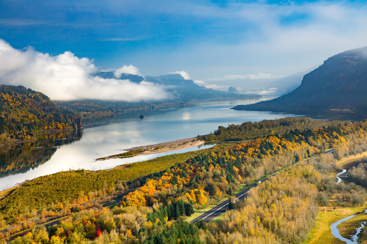 Fall Foliage West Coast Musement