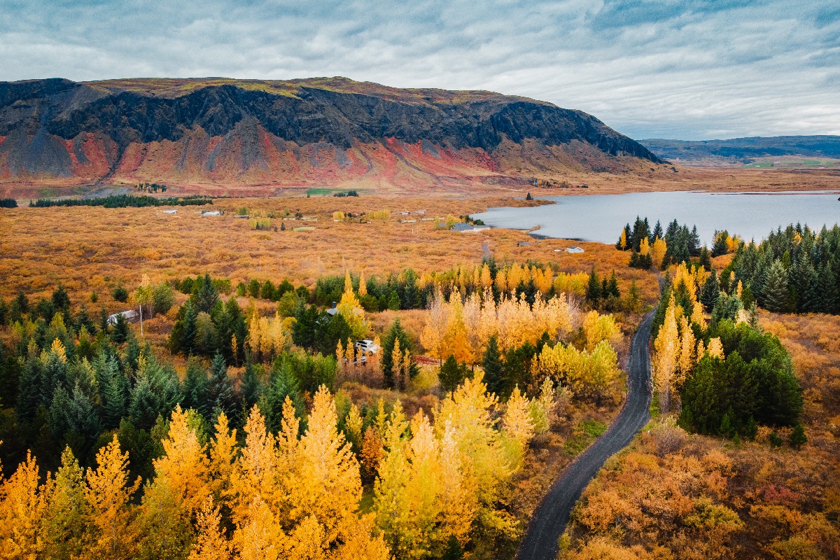 herfstlandschap met bos, heuvels en water in IJsland