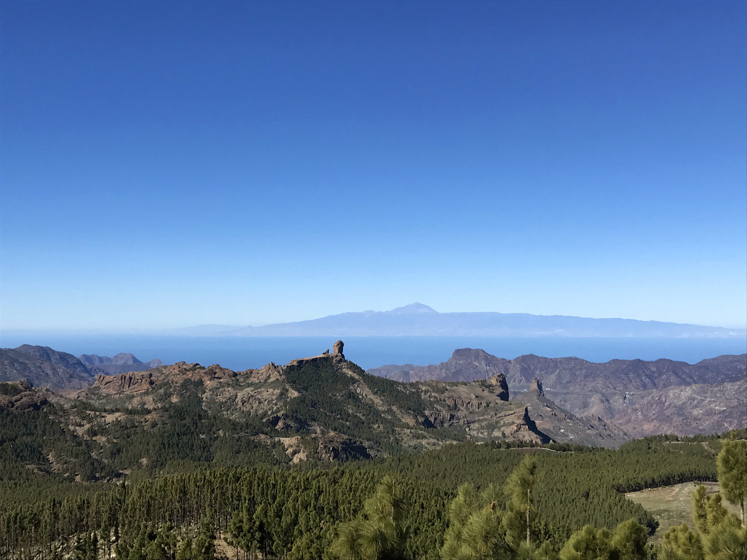 View from Pico de las Nieves, R