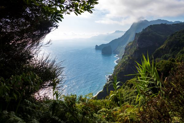 view of madeira
