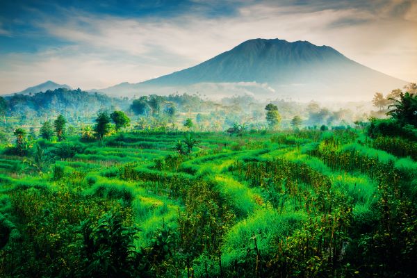 Landscape in Bali