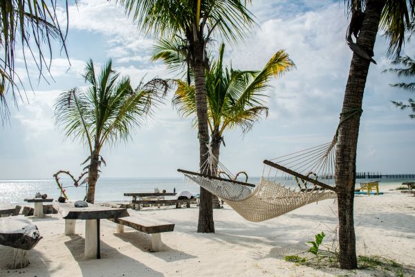 beach in zanzibar